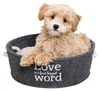 A fluffy puppy sits in a round gray pet bed with text on the side. Produktbild-Vorschau