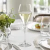Rona MODE Champagnerkelche 240ml | Schaumweingläser 6er Set Produktbild-Vorschau 8