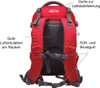 Kurgo Rucksack G-Train K9 Backpack rot Produktbild-Vorschau 12