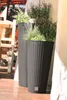 Rund Blumentopf 15,3 L Rattan-Optik Umbra Dunkel Braun Produktbild-Vorschau 6