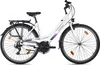 DaCapo vélo de trekking femmes 28'' Ravenna 50 21 vitesses Voir les images du produit 2