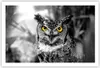 Poster - Poster ohne Rahmen - Eule Vogel Natur - 91,5x61 cm Produktbild-Vorschau 1