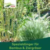 Cuxin DCM Spezialdünger für Bambus & Ziergräser 1,5 kg Produktbild-Vorschau 11