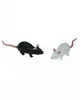 Dehnbare Ratte als Spielzeug 11 cm | Schwarz / Weiß Produktbild-Vorschau 3
