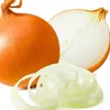 Cebula WOLSKA Nasiona 4g Toraf 28 Podgląd zdjęcia produktu 10