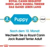 Royal Canin Jack Russell Junior, Welpe, Jack Russell Produktbild-Vorschau 6