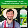 Purgrün -Weinreben-Dünger 1 Liter, Produktbild-Vorschau 2