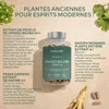 Aavalabs Ginkgo Biloba 50:1 | Ginseng & Bacopa | Gedächtnis Produktbild-Vorschau 10