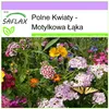 SAFLAX - Polne Kwiaty - Motylkowa Łąka - 1000 Nasiona - Mix Podgląd zdjęcia produktu 4