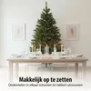 Triumph Tree Bristlecone Kerstboom - Kerstversiering voor Productafbeelding-voorbeeld 6