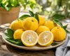 Yuzu Zitrone (Citrus junos) XXL, 130–160 cm. Japońska Podgląd zdjęcia produktu 3