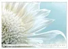 Die Leichtigkeit der Blüten (Wandkalender 2027 DIN A3 Produktbild-Vorschau 15