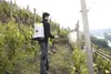 Pulvérisateur à dos RS125 capacité 12l b.6bar G.4,8kg MESTO Voir les images du produit 13