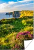 MuchoWow® Poster Irische Blumen an den Cliffs of Moher Produktbild-Vorschau 1