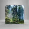 Bilder auf glas - Einteilig - Wald Dämmerung die Sonne - Produktbild-Vorschau 3