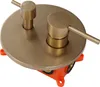 A close-up studio shot of a shower valve system with a gold finish. Náhled obrázku produktu