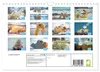 Lustige Eisbären (Wandkalender 2027 DIN A4 quer), CALVENDO Produktbild-Vorschau 2
