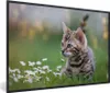 MuchoWow® Gerahmtes Poster Ein Kätzchen im Gras 90x60 cm - Produktbild-Vorschau 1