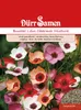 Bunter Lein Charmer Mischung | Leinsamen von Dürr Samen Produktbild-Vorschau 1