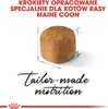 Royal Canin Maine Coon Kitten, Kocięta, Maine Coon, Drób, Podgląd zdjęcia produktu 13