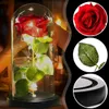 Ewige Rose unter Glas mit LED, rote Dekorationsrose, Produktbild-Vorschau 7