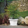 euro3plast 170-962 Dessous de plat pour KREA 35 cm, Voir les images du produit 7