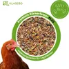 A close-up of chicken feed within a green circle, with a chicken's head in the foreground and brand logo and text overlays. Náhľad obrázku produktu