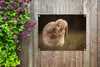 MuchoWow® Produktbild-Vorschau 5