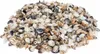 Muschelmix Small 1kg naturbelassen Deko Muscheln Schnecken Produktbild-Vorschau 1