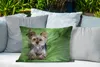 MuchoWow® Outdoor Kissen - Ein Yorkshire Terrier liegt auf Produktbild-Vorschau 4