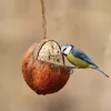Noce di cocco ripiena Anteprima dell’immagine prodotto 1