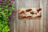 MuchoWow® 60x30 cm Outdoor-Poster Gartendeko Sichtschutz Produktbild-Vorschau 5