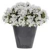Prosperplast Blumentopf TUBUS Betoneffekt Anthrazit 40 cm Produktbild-Vorschau 2