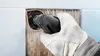 EXPERT 3 max AVZ 70 RT4 Platte, 70 mm Produktbild-Vorschau 35