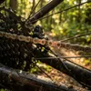 SHIMANO E-BIKE RATED Kette | 126 Glieder | Quick-Link | Produktbild-Vorschau 8