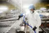 Elka Cleaning Pro PolyurethanSchlupfjacke mit Kapuze grün  Produktbild-Vorschau 4