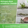 Nanoprotect Unkrautvernichter Grundstoff Essig/Acetum - 1 Produktbild-Vorschau 4