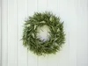 EUROPALMS  di lavanda, 30 cm (83500504) Anteprima dell’immagine prodotto 5