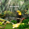 Bullyland 69400 - Speelfiguur: Vischertukan, een Productafbeelding-voorbeeld 3