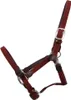 Kentucky Horsewear Stallhalfter Plaited Nylon Halfter Produktbild-Vorschau 8