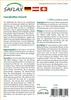 SAFLAX - Karłowaty Krzew Kawowy - 8 Nasiona - Coffea Podgląd zdjęcia produktu 11