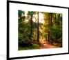 MuchoWow® Gerahmtes Poster Wald - Weg - Bäume - Grün - Produktbild-Vorschau 1