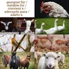 Leinsamen Leinsaat Naturbelassene Leinsamenkörner Produktbild-Vorschau 3