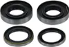 Set di paraolio motore per motore Sachs 50S 501 50SW 50/6 Anteprima dell’immagine prodotto 2