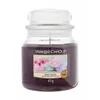 Yankee Candle Berry Mochi, andere, Aprikose, Pflaumenblüte, Produktbild-Vorschau 6