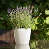 Übertopf Magnolia 36 weiss Produktbild-Vorschau 13