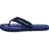Puma Herren-Badepantolette Epic Flip v2 Blau-Weiß, Produktbild-Vorschau 7