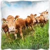 Wallario Premium Kissen, weiche Oberfläche, mit Motiv Kühe Produktbild-Vorschau 1