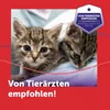 Feliway Friends Kit de démarrage pour chats 48 ml Voir les images du produit 9