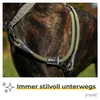 PiuPet® Hundeleine 2m I 3-Fach längenverstellbar I Leine Produktbild-Vorschau 2